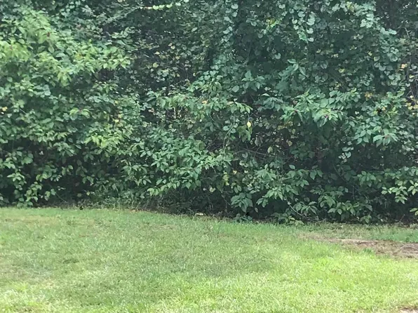 305 Winfall Ct Lot 133, Edenton, NC 27932