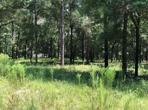 128th Ter, Live Oak, FL 32060