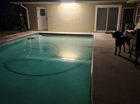 1100 Jackmar Rd, Dunedin, FL