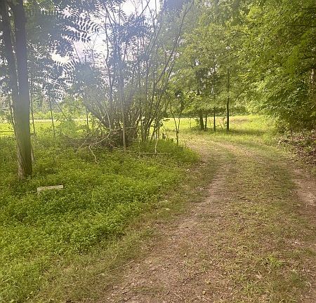 5th image of 294 Haskell Winton Rd
