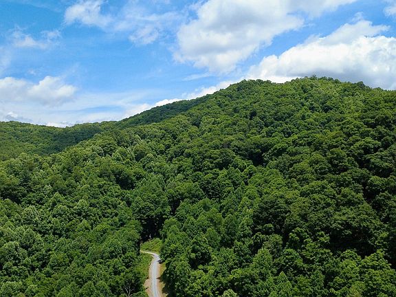 3rd image of 115 Deer Run Dr
