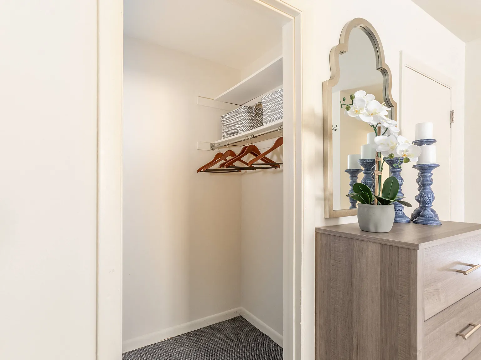 Lawyers Hill Apartments — Photo 3