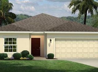 11121 Spring Point Cir, Riverview, FL 33579