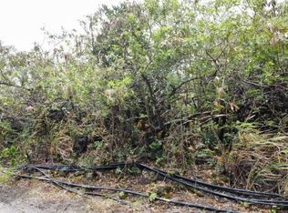LOT 9 Lot 9, Naalehu, HI 96772