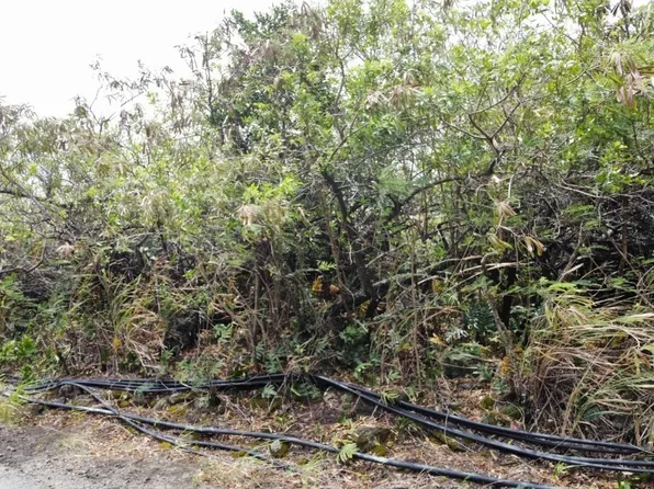 LOT 9 Lot 9, Naalehu, HI 96772
