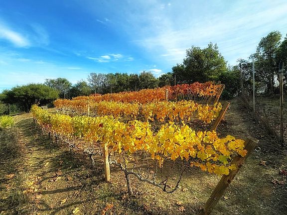 4th image of 17035 Bohlman Rd