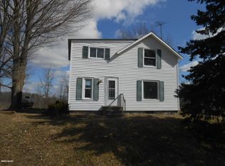 12103 S M 66 Hwy, Bellevue, MI 49021