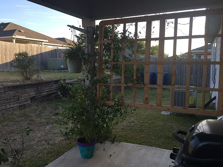 25714 Gold Yarrow — Photo 14