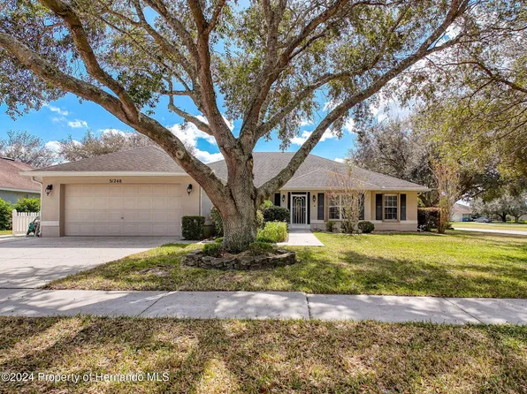 31248 Satinleaf Run, Brooksville, FL 34602