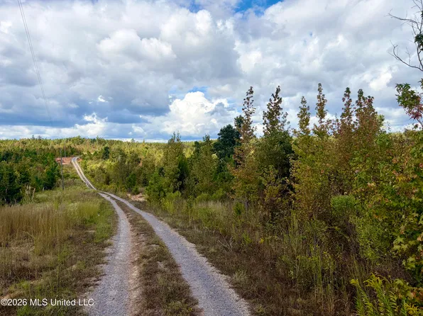 3438 County Road 3027, Kosciusko, MS 39090