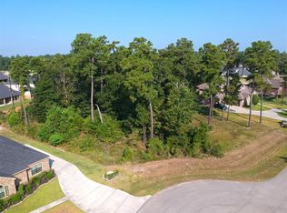 27807 Golden Oak Chase Ct, Spring, TX 77386