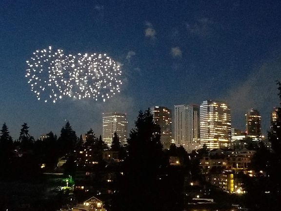 Enjoy your private showing of the July 4th Bellevue fireworks from your view deck!