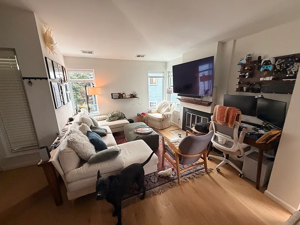 Living and foyer (maximalist)