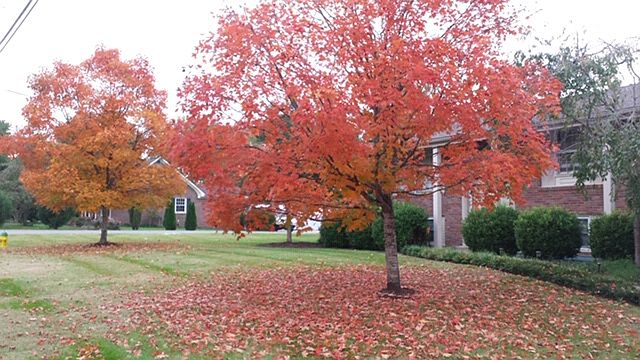 1st image of 148 Whispering Hills Blvd