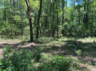 NE Riverside Blvd, Mayo, FL 32066