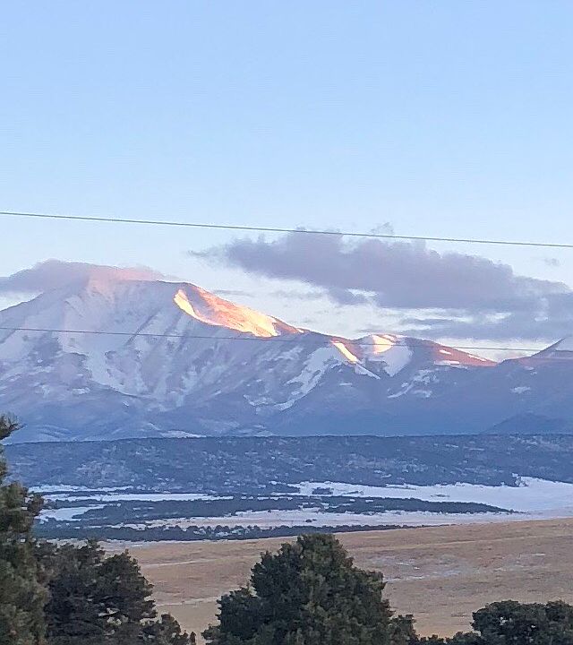 View from front porch 