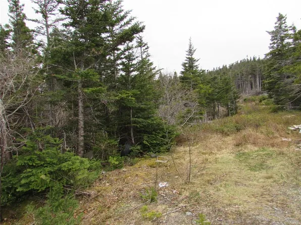 6 Country Lane, Conception Harbour, NL A0A1Z0