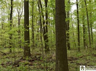 0 Miller Rd, Ripley, NY 14775