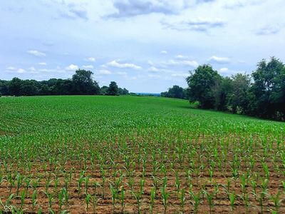 0 Jones Rd, Gosport, IN, 47433