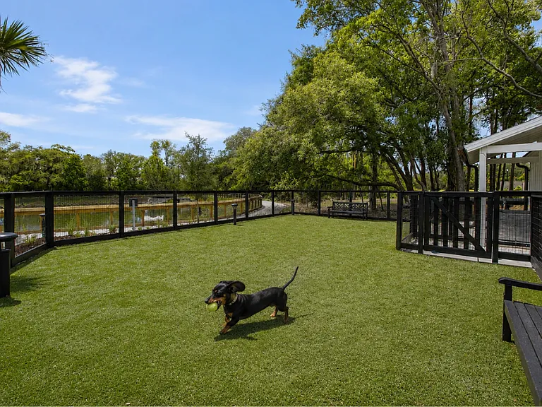 The Henslow Daniel Island Apartments & Townhomes — Photo 48