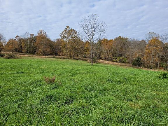 Walnut tree in hay field looking west from old homesite.