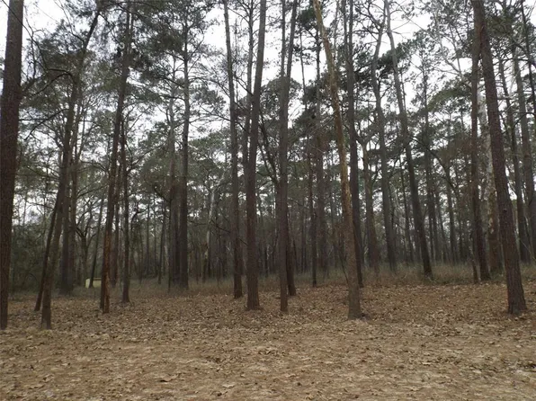 24018 Crooked Crk Lot 2, Hockley, TX 77447