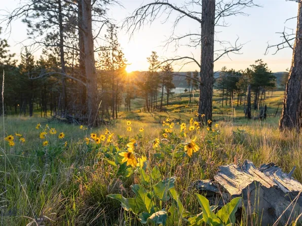 151 Big Clearing Rd, Roundup, MT 59072