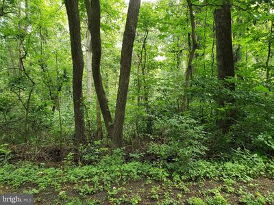 Lots 1 2 Blackbird Way, Front Royal, VA, 22630