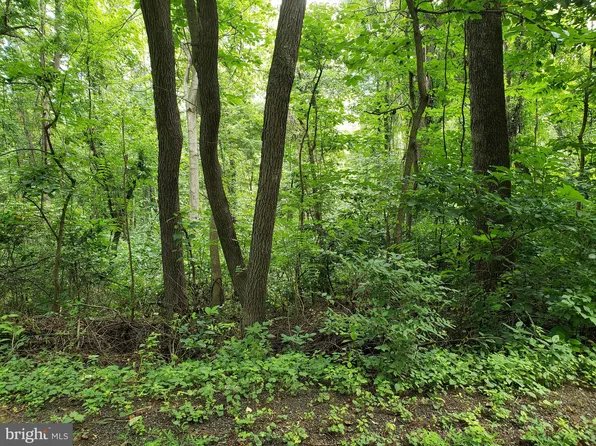 Lots 1 2 Blackbird Way, Front Royal, VA 22630