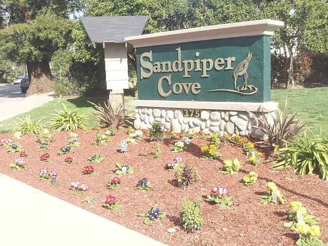 Sandpiper Cove Apartments — Photo 9
