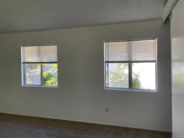 3988 Caminito Patricia — Photo 40