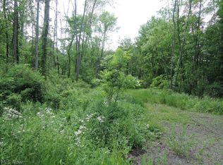 Niles Carver, Mineral Ridge, OH 44440