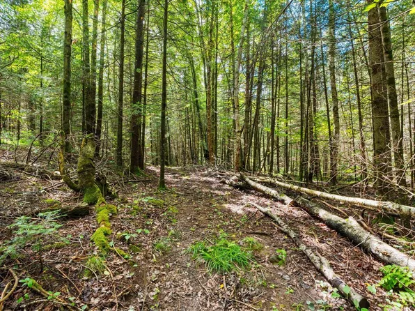 0 Cty J Road, Irma, WI 54442