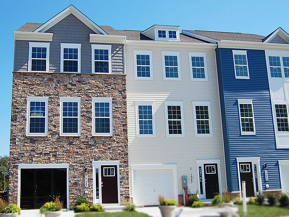 Elevation Image 3.