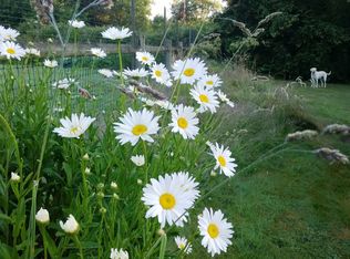 10727 SW 232nd St, Vashon, WA 98070