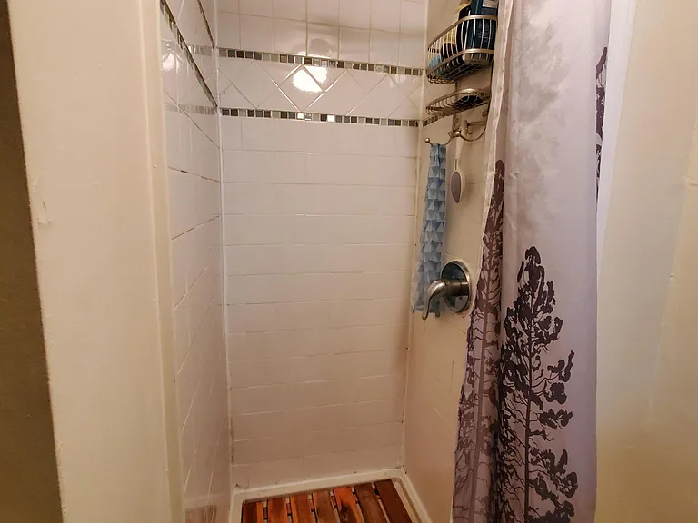 4112 Spruce St #2 — Photo 3