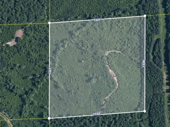 12959 Mount Olive Rd, Coker, AL 35452