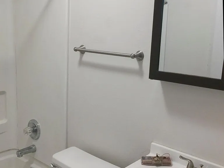 1703 Richard Arrington Jr Blvd S #11 — Photo 9