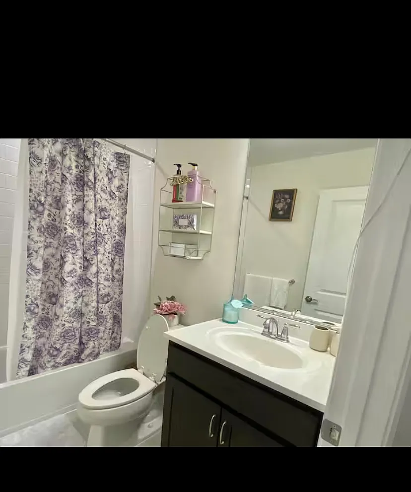 1 bed, 500 sqft, $800 — Photo 1
