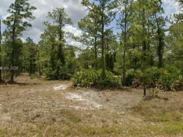 2321 McArthur Ave, Alva, FL 33920