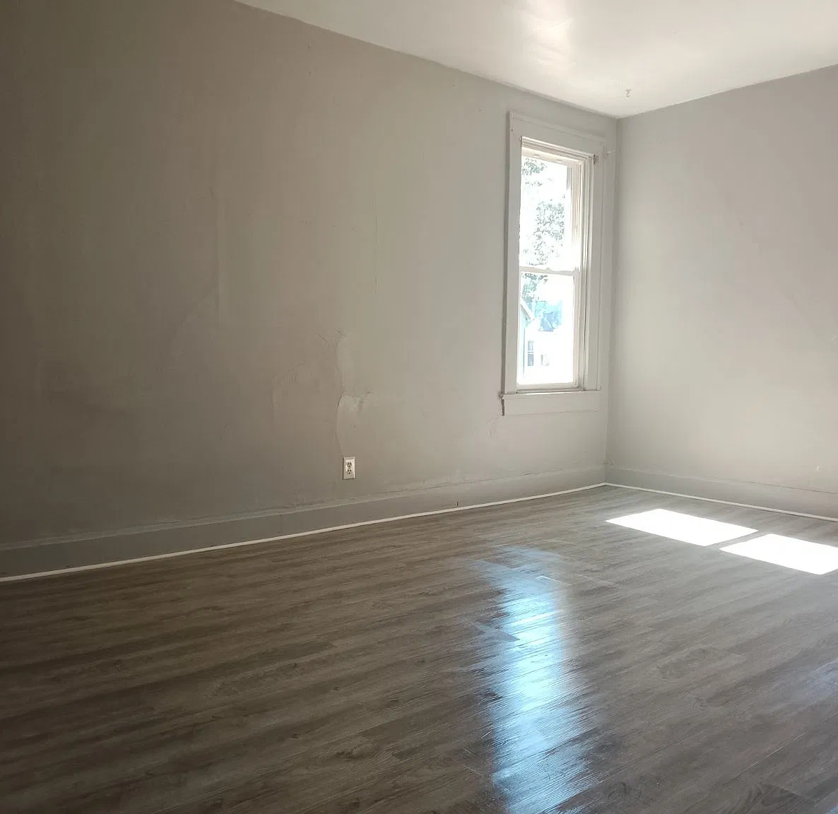 1 bed, $675 — Photo 3