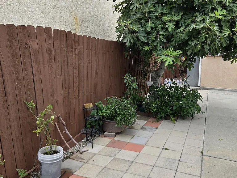 Outside greenery maintained by owner