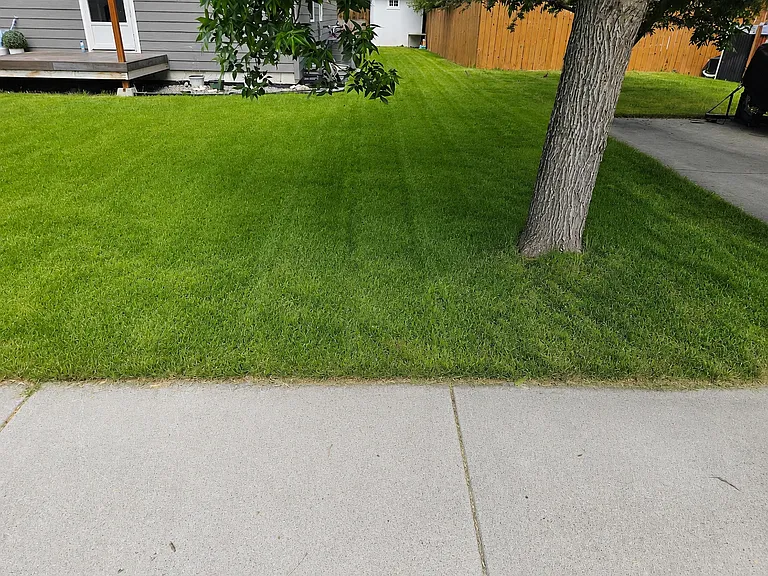 481 Green Tree Dr — Photo 15