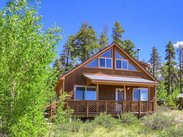 103 Foxtail Ct, Fairplay, CO 80440