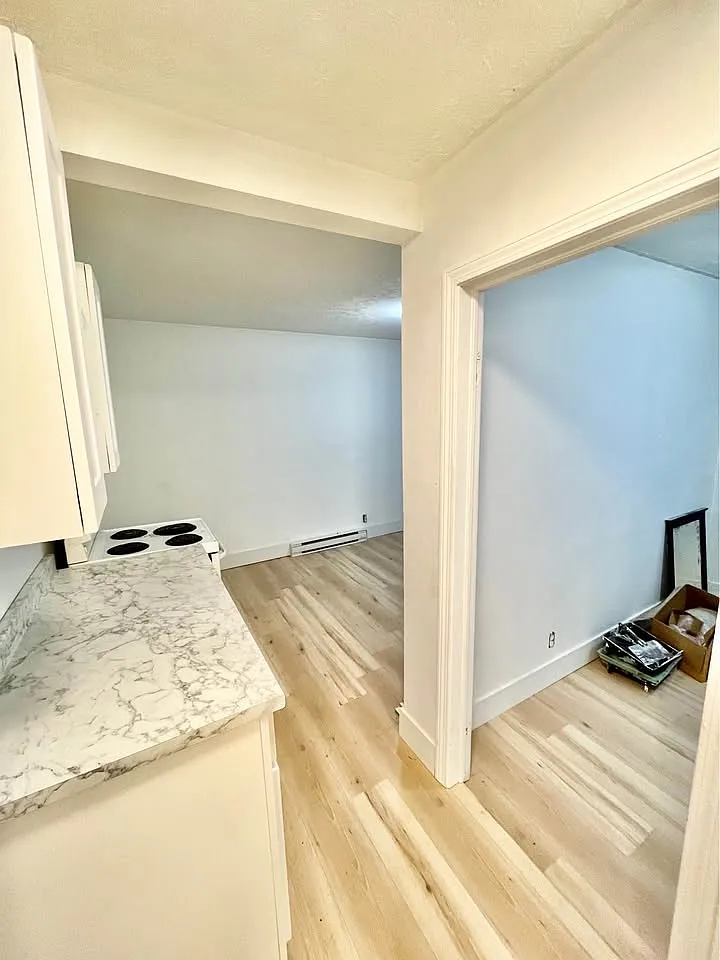 1 bed, $1,150 — Photo 3