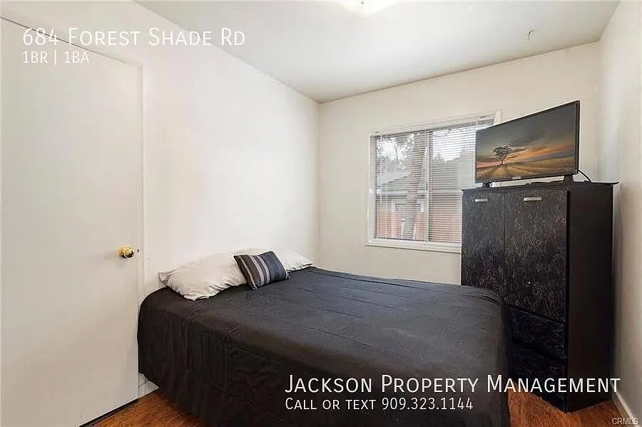 Cute One Bedroom Back House — Photo 4