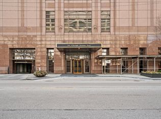161 E Chicago Ave #4404, Chicago, IL 60611