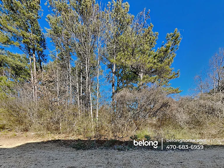1786 Broad River Rd — Photo 11