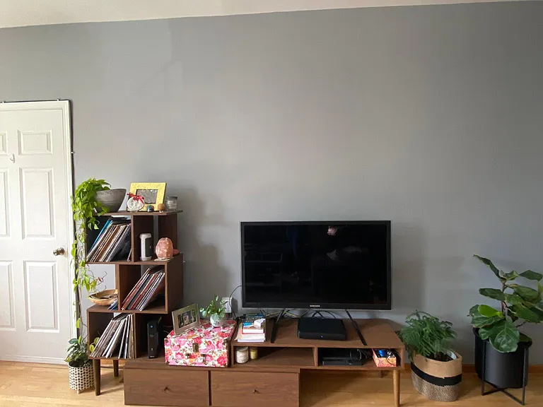 3718 W Diversey Ave #1 — Photo 3
