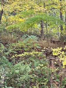 TBD Cherry Hill Rd, Wheeling, WV, 26003